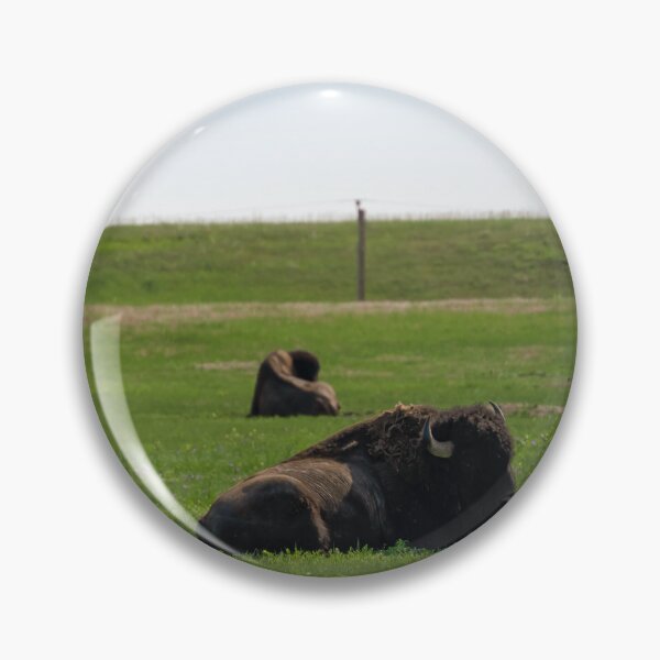 Item preview, Badlands Buffalo | Badlands National Park designed and sold by TinyDinoDesigns.