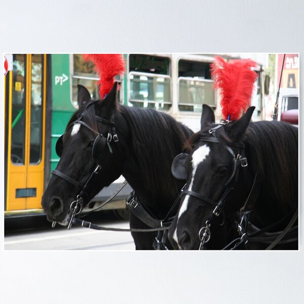 Item preview, City Horses, Melbourne designed and sold by Maggie Hegarty.