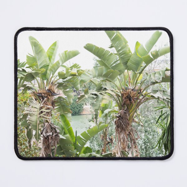 Item preview, White Bird of Paradise Dream #1 #travel #wall #art designed and sold by Anita's & Bella's Art.