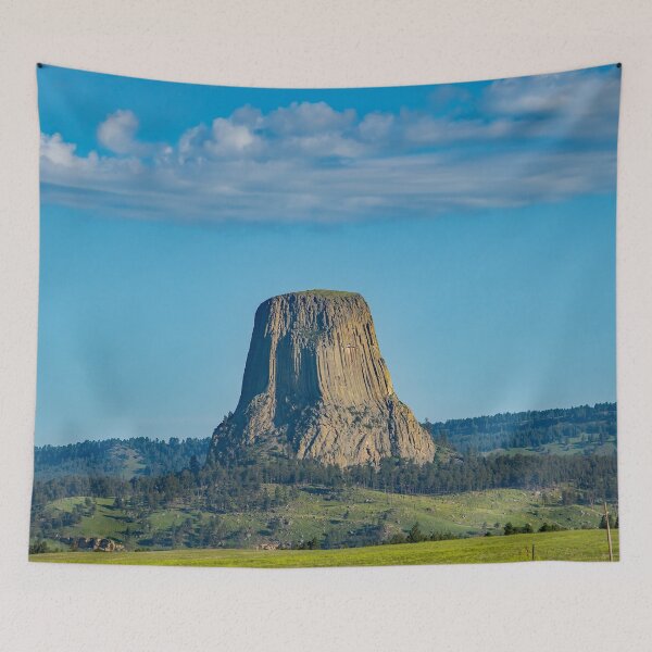 Item preview, Devils Tower National Monument designed and sold by TinyDinoDesigns.