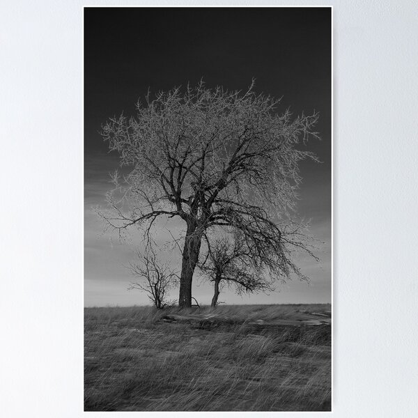 Item preview, Generations B&W designed and sold by Heath Dreger.