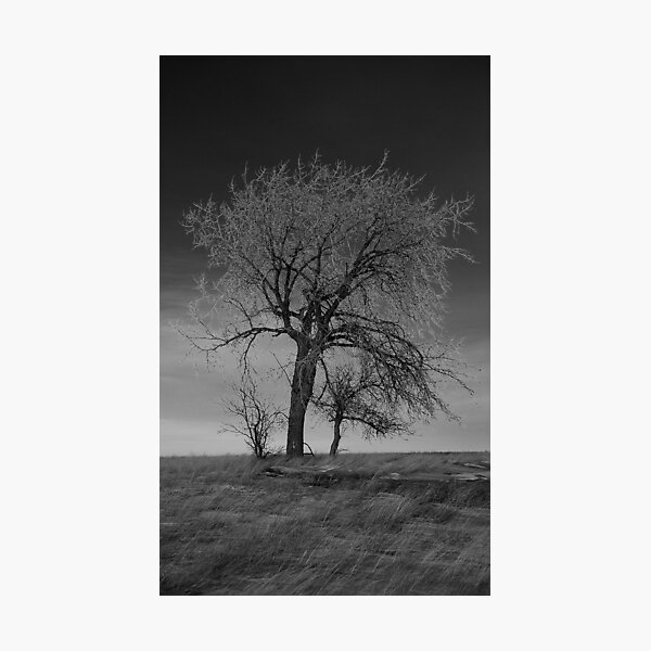 Item preview, Generations B&W designed and sold by Heath Dreger.
