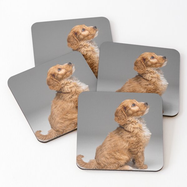 Item preview, Portrait of an obedient Cockapoo puppy looking up awaiting instruction. designed and sold by bailey-cooper.