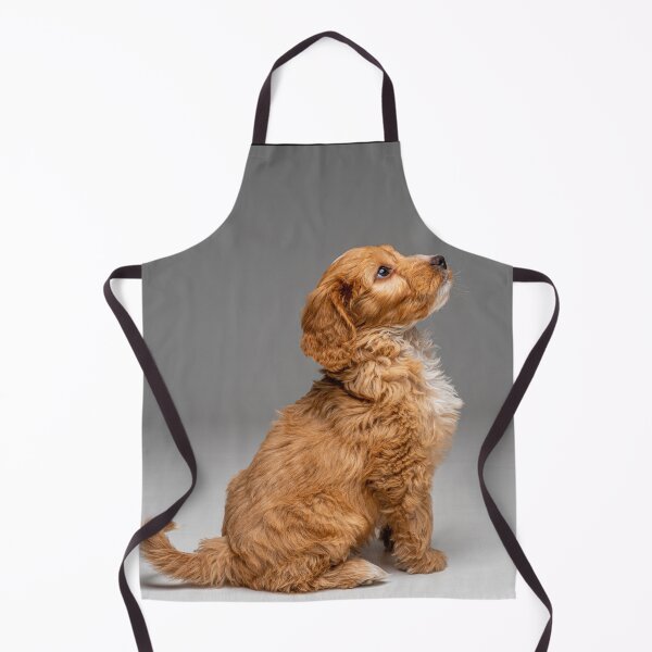 Item preview, Portrait of an obedient Cockapoo puppy looking up awaiting instruction. designed and sold by bailey-cooper.