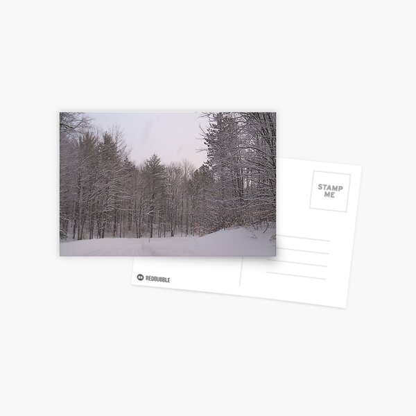 winter Road 2 Postcard