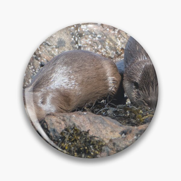 Item preview, Shetland Otters designed and sold by Derren Jones.