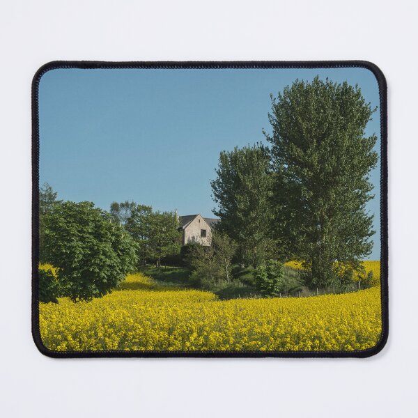 Item preview, Little house in the rapeseed fields ,Duffus designed and sold by Derren Jones.