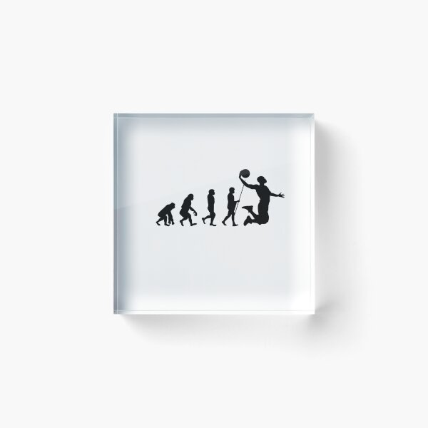 Item preview, evolution of basketball player designed and sold by DeluxBee.