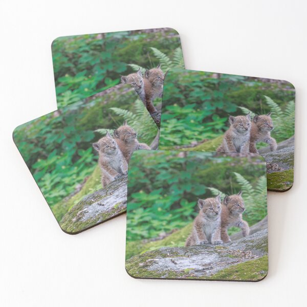 Item preview, Lynx Kittens designed and sold by Jonathan Lundkvist.