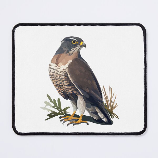 Item preview, Sparrowhawk looking over its shoulder designed and sold by naturemenagerie.