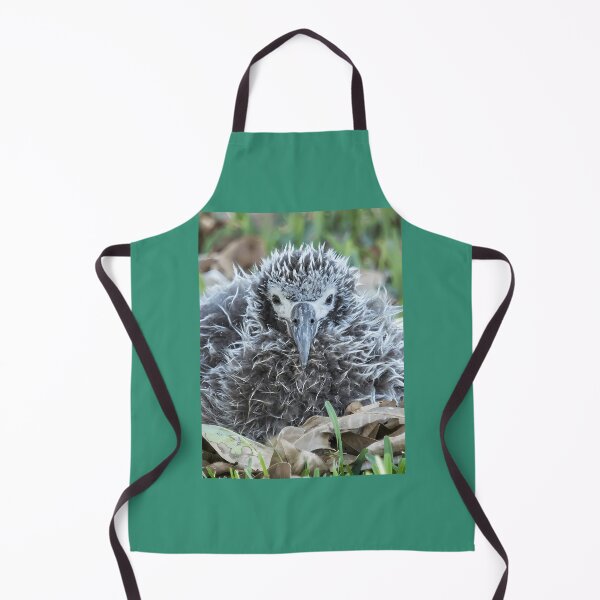 Item preview, Laysan Albatross Chick designed and sold by zlyeurorwo66.