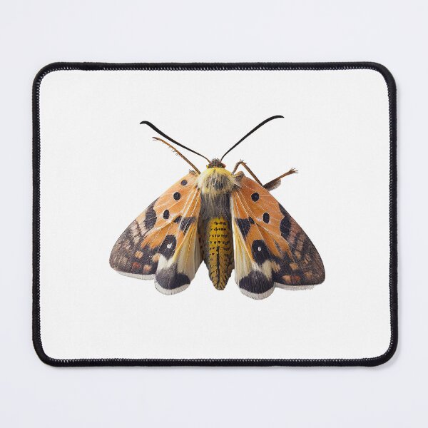 Item preview, A brown, yellow and orange moth designed and sold by naturemenagerie.
