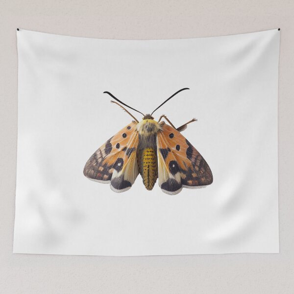 Item preview, A brown, yellow and orange moth designed and sold by naturemenagerie.
