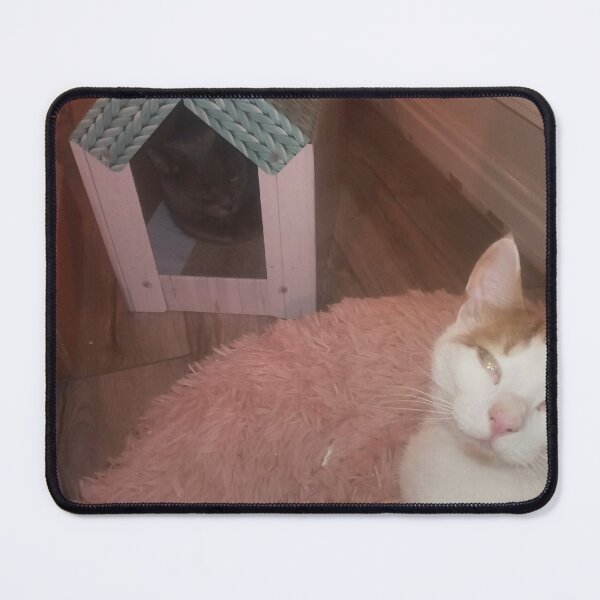Item preview, #298 |☼| "Mimi's In My House!" - Marley (Cats) designed and sold by Naean H.F. (Nez Man).