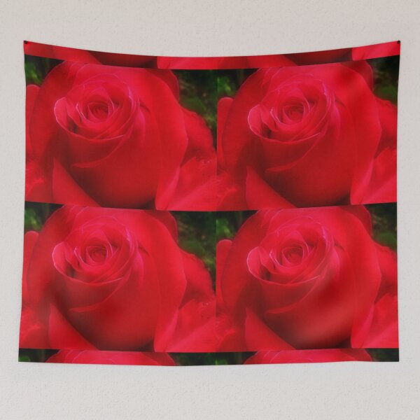 Item preview, Peter Frankenfeld Rose - Garden 2015 designed and sold by EdsMum.