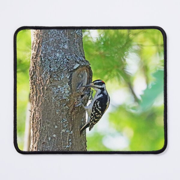 Item preview, Knock Knock designed and sold by Deb Oppermann.