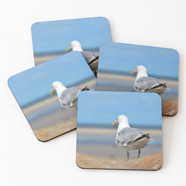 Item preview, Seagull on Borkum designed and sold by Stefans-Bilder.