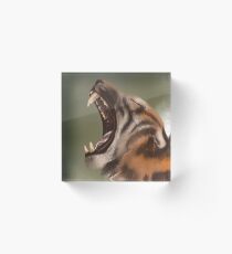 Yawning Tiger Acrylic Block