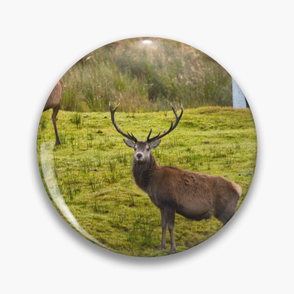 Item preview, Red Stag  designed and sold by TheoPhotoraphy.