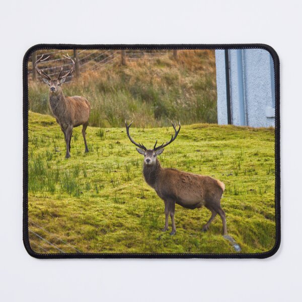 Item preview, Red Stag  designed and sold by TheoPhotoraphy.