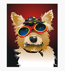 sunsmart Photographic Print