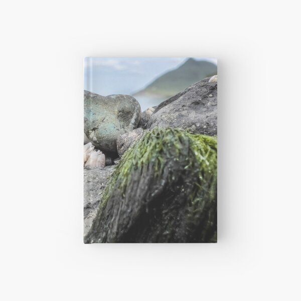 Aperçu de l'œuvre AleutianLife Coeur de Pierre et de Mer créée et vendue par Aleutian Life Studios.