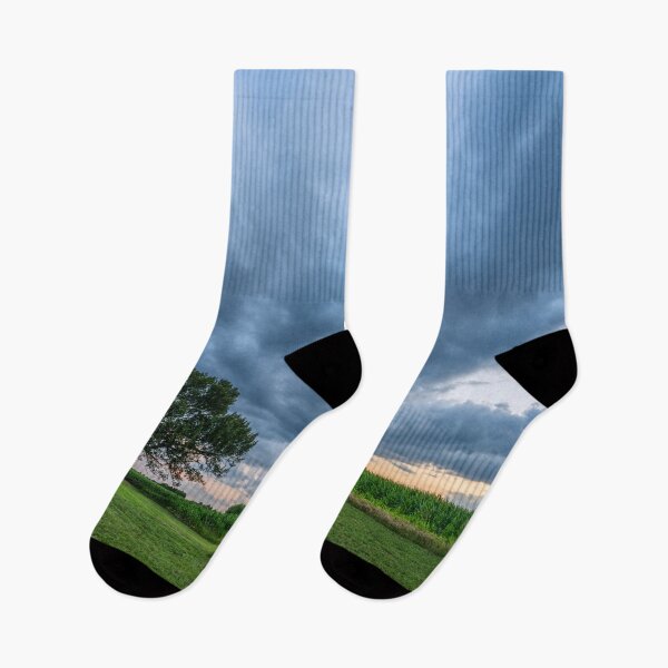 Item preview, Cornfield Tree Sunset designed and sold by mljdwhite.