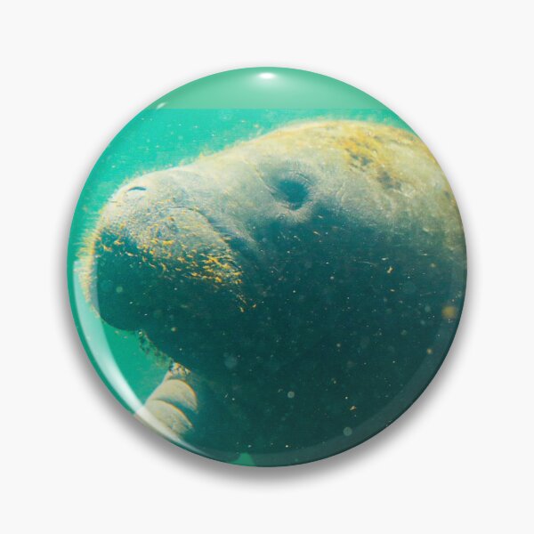 Item preview, Manatee designed and sold by Misfit-Photo.