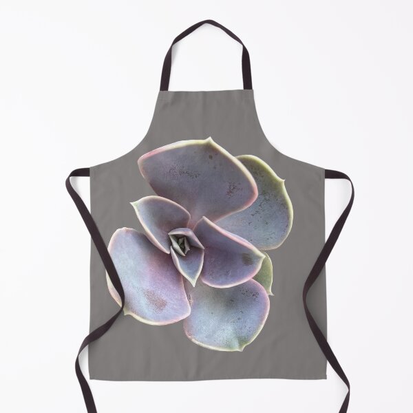 Aperçu de l'œuvre Succulent créée et vendue par suekieper.