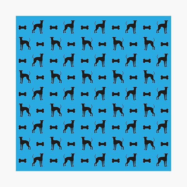 Dog and Bone - Lurcher - mini light blue Photographic Print