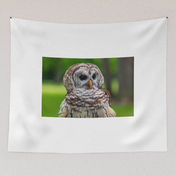 Item preview, Barred Owl designed and sold by Garry Gay.