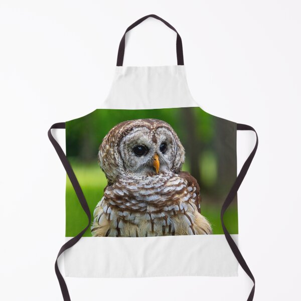 Artikelvorschau, Barred Owl entworfen und verkauft von Garry Gay.