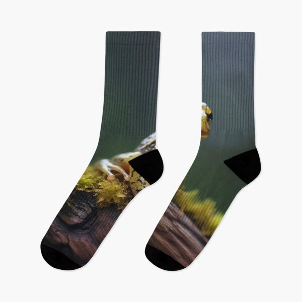 Item preview, Journey through the Lily Pads: An Ode to Frogs designed and sold by Brendon987.