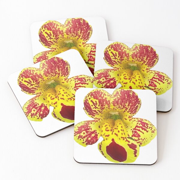Item preview, Sweet Orchid print designed and sold by Susan Gallup.