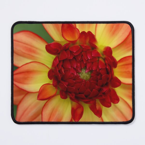 Item preview, Macro Orange Dahlia Flower designed and sold by Sonya Umble.