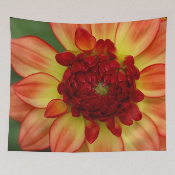 Item preview, Macro Orange Dahlia Flower designed and sold by Sonya Umble.