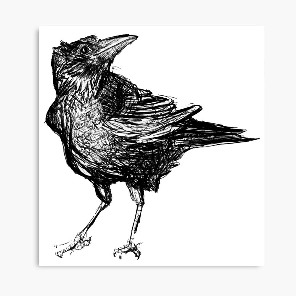 Crow Ink Drawing Metal Print By Lucyseacrow Redbubble