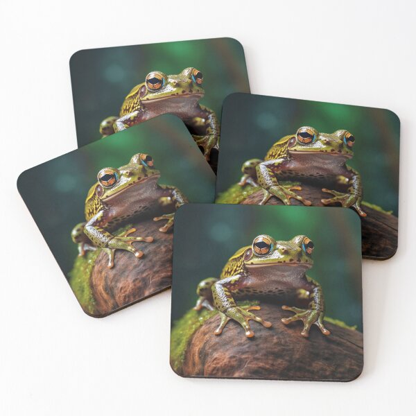 Item preview, Fascinating Frogs: Nature's Playful Songsters designed and sold by Brendon987.