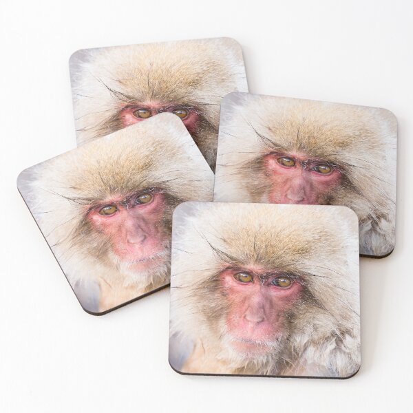 Artikelvorschau, Wildlife Portrait - Schneeaffe (Japan) entworfen und verkauft von Kellie Netherwood.