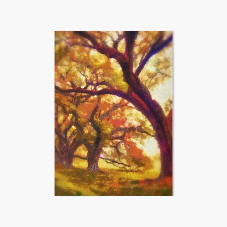 Southern live oaks Art Board Print