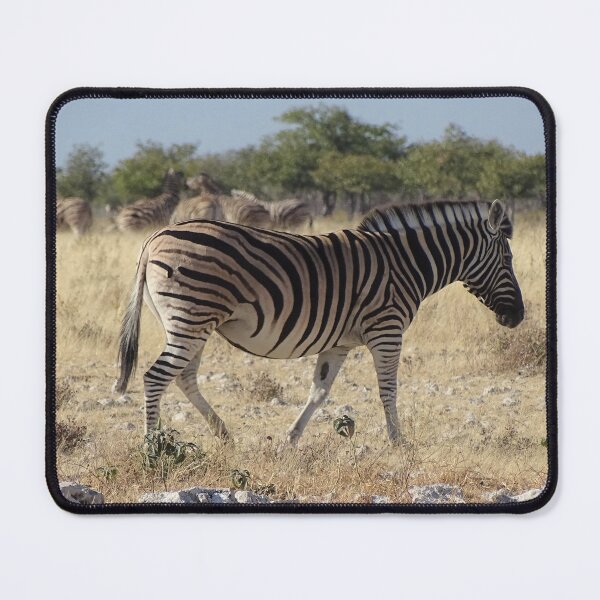 Item preview, Zebra - Etosha, Nambia wildlife photography designed and sold by Vik-Ink.