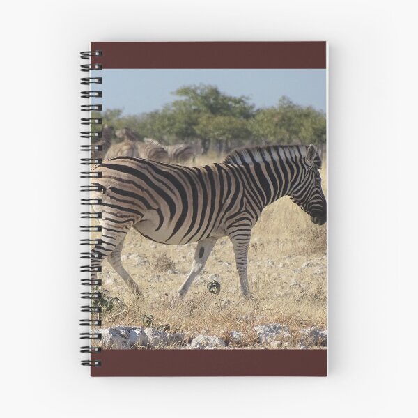 Item preview, Zebra - Etosha, Nambia wildlife photography designed and sold by Vik-Ink.