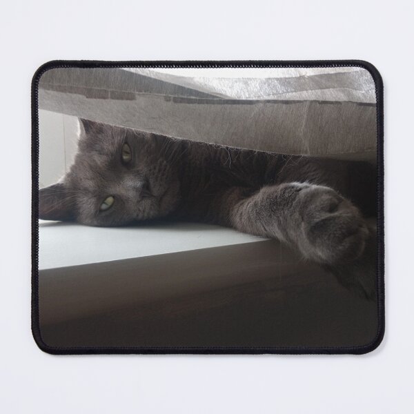 Item preview, #299 |☼| Mimi's Windowsill Watch (Cats) designed and sold by Naean H.F. (Nez Man).