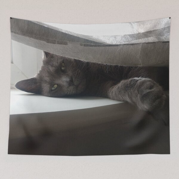 Item preview, #299 |☼| Mimi's Windowsill Watch (Cats) designed and sold by Naean H.F. (Nez Man).