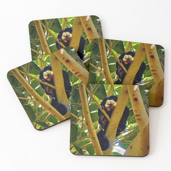 Item preview, Saki Monkey. designed and sold by Savannah Gibbs.