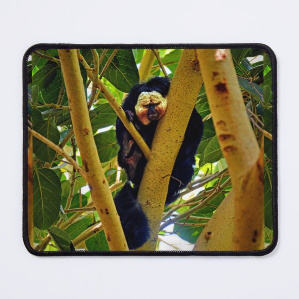 Item preview, Saki Monkey. designed and sold by Savannah Gibbs.