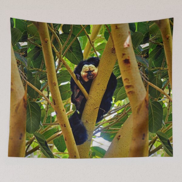 Item preview, Saki Monkey. designed and sold by Savannah Gibbs.