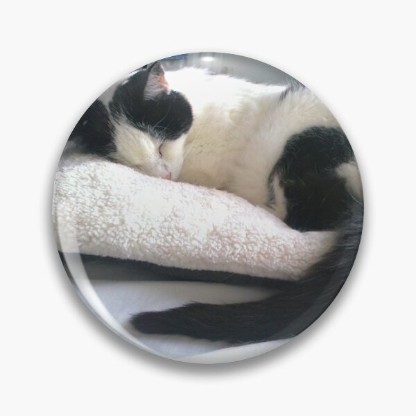 Item preview, #300 |☼| Cat Nappin' - Bradley: Shot 2 (Cats) designed and sold by Naean H.F. (Nez Man).
