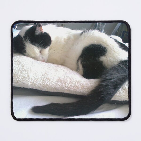 Item preview, #300 |☼| Cat Nappin' - Bradley: Shot 2 (Cats) designed and sold by Naean H.F. (Nez Man).