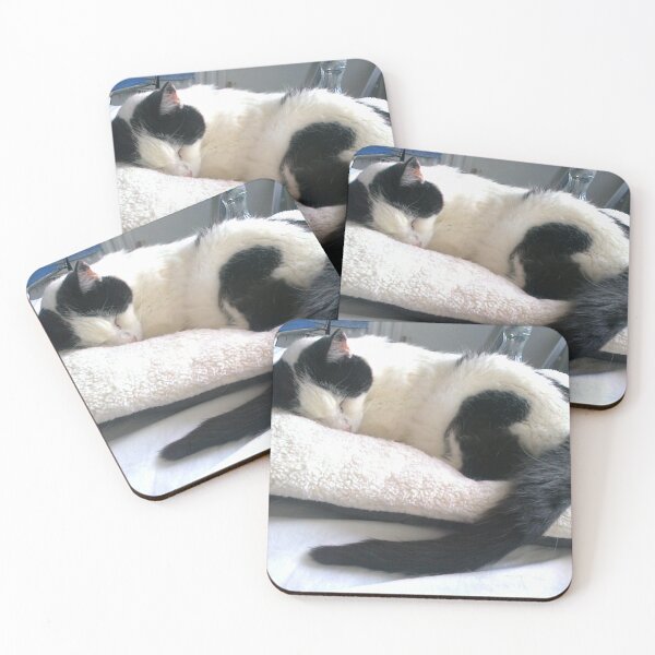 Item preview, #300 |☼| Cat Nappin' - Bradley: Shot 2 (Cats) designed and sold by Naean H.F. (Nez Man).